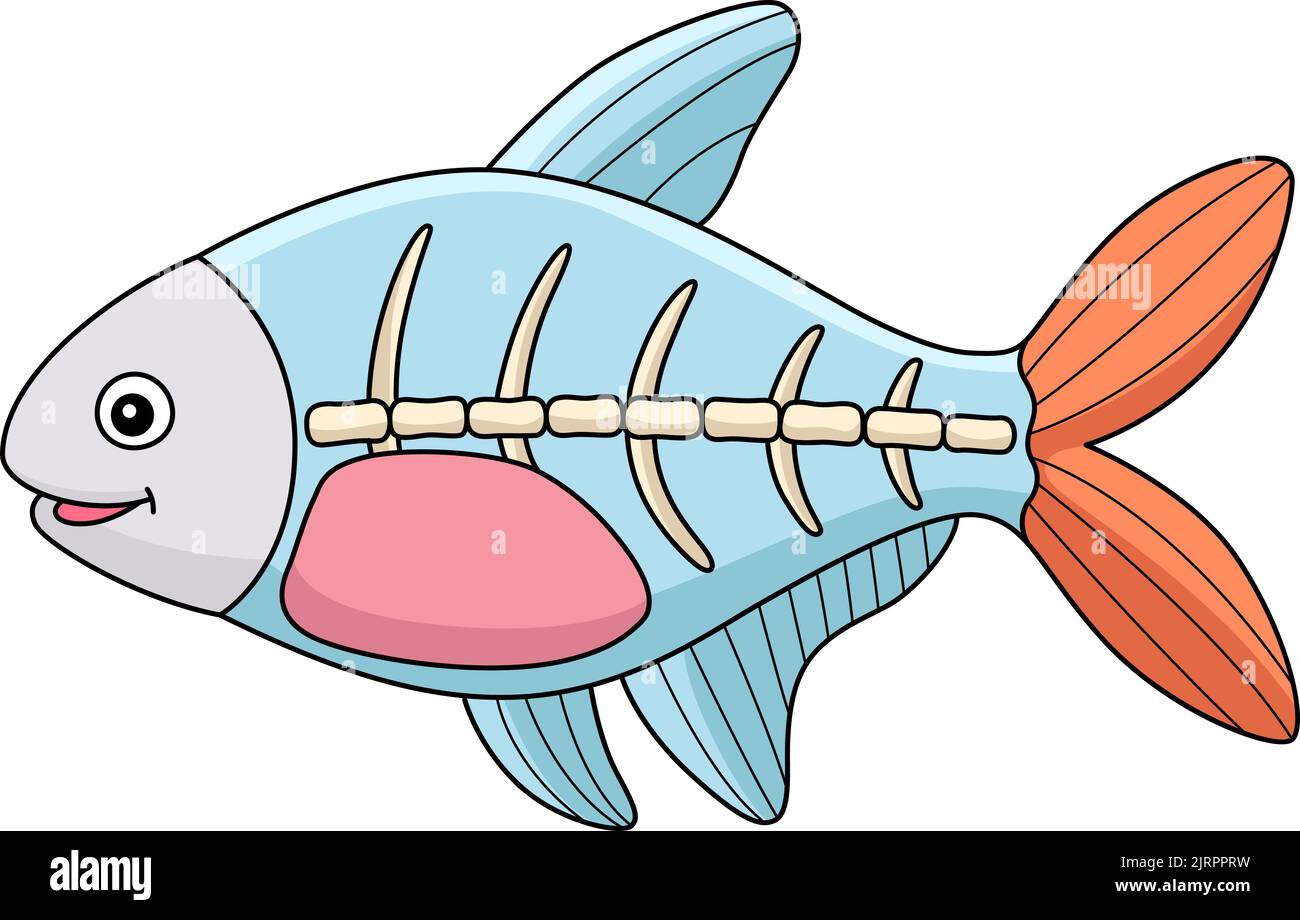X-ray Fish Animal Cartoon Colored Clipart Stock Vector