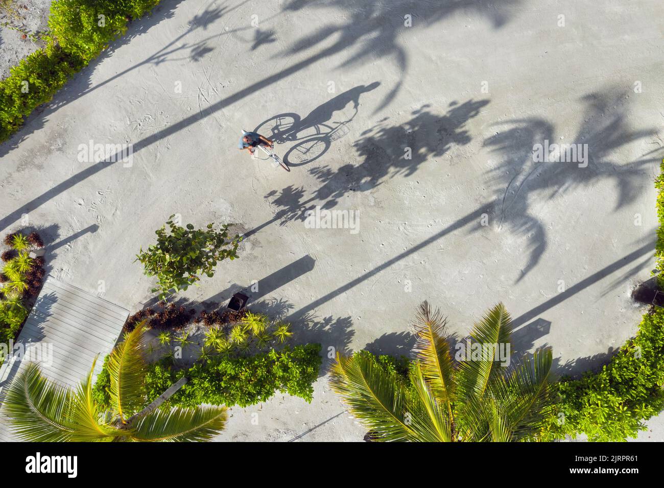 Aerial view of man with bicycle under palm trees Stock Photo