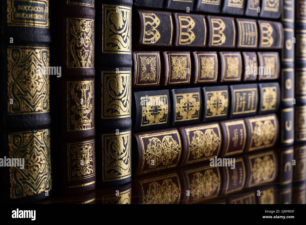 Detalle de unos libros clásicos en la estantería de una biblioteca Stock Photo