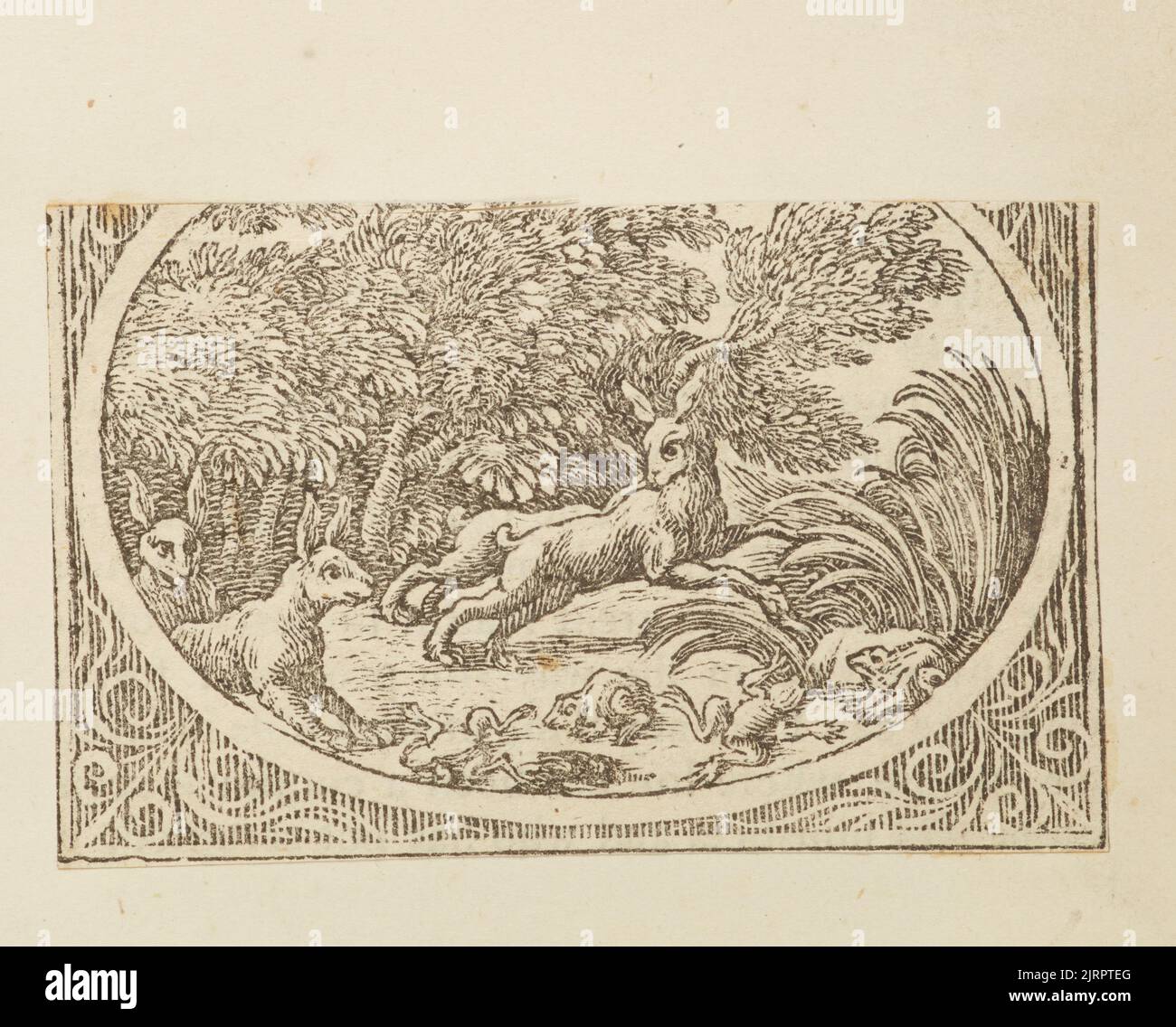 Wood engraving, England, by Thomas Bewick Stock Photo Alamy