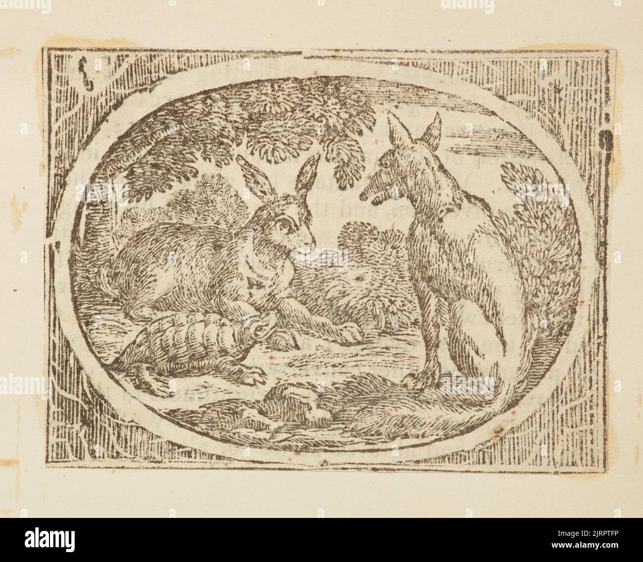 Wood engraving, England, by Thomas Bewick Stock Photo Alamy