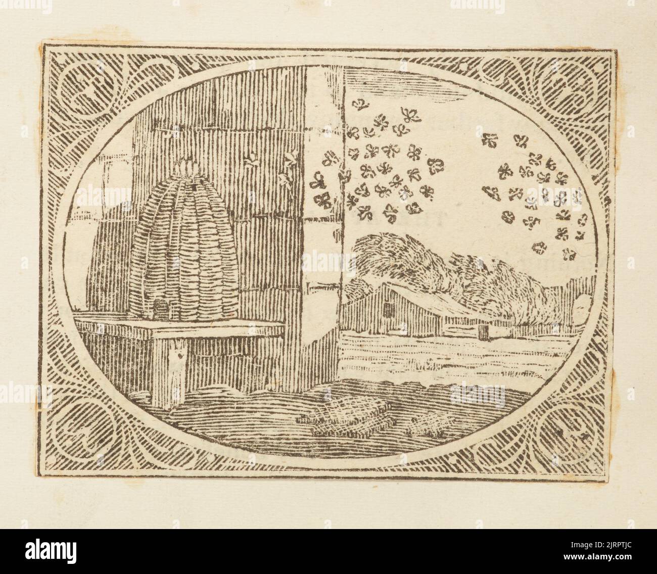 Wood engraving, England, by Thomas Bewick Stock Photo Alamy