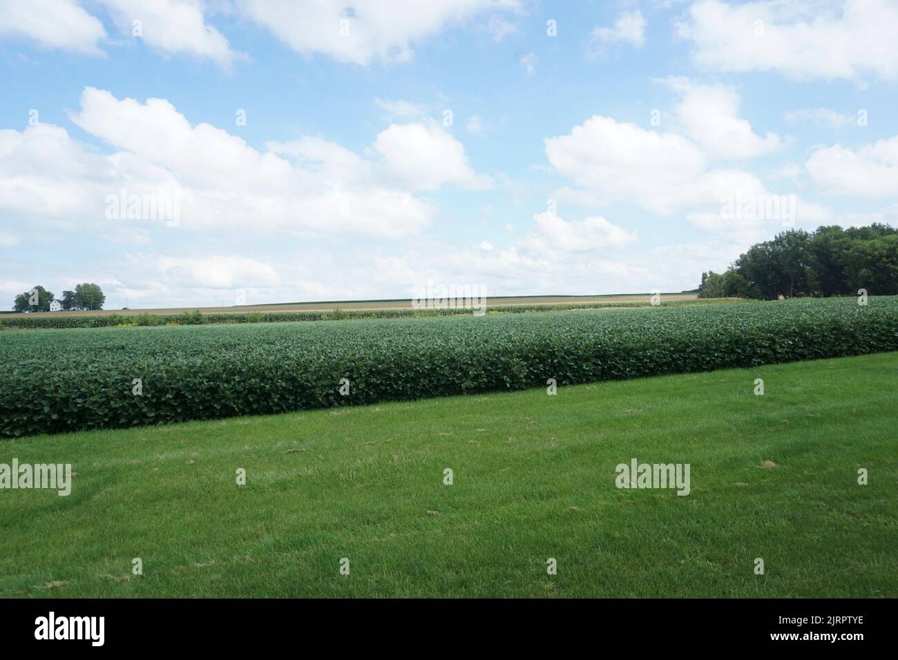 Farm fields off the Wild Goose State Trail in Clyman Wisconsin Stock