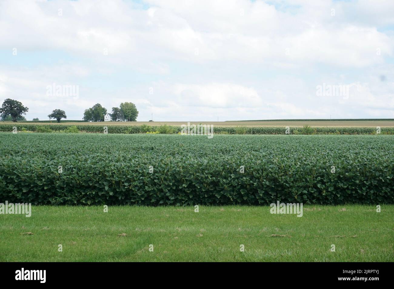 Farm fields off the Wild Goose State Trail in Clyman Wisconsin Stock
