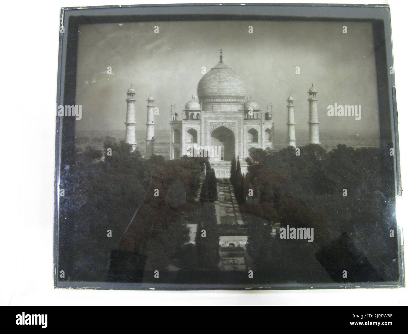 Taj Mahal 2025r John 2025 Ally Lulita