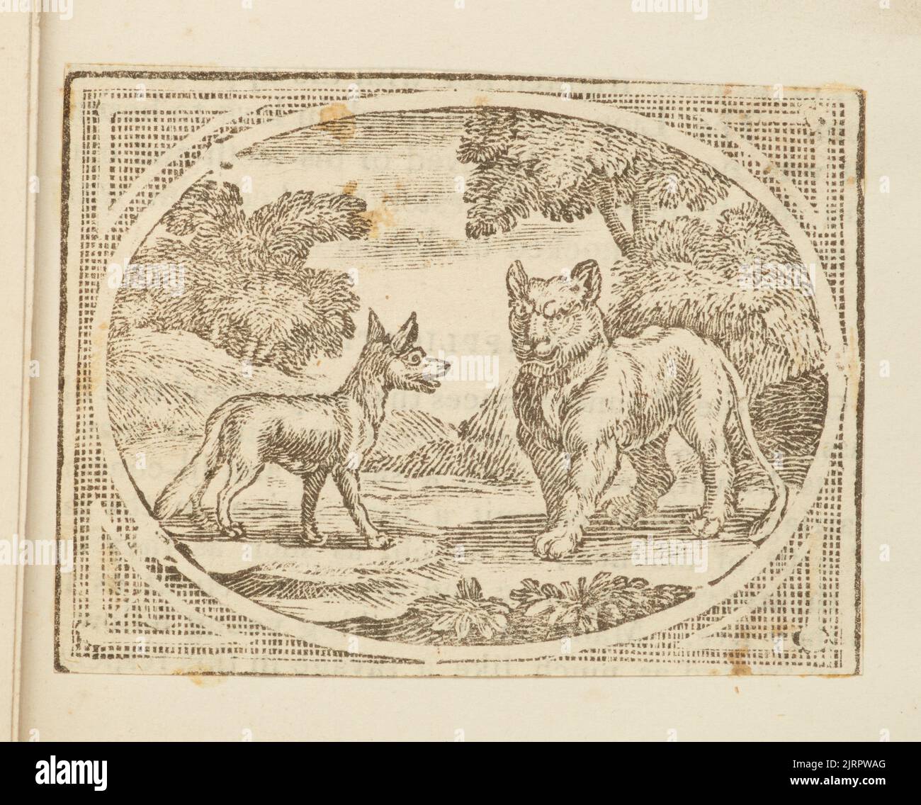 Wood engraving, England, by Thomas Bewick Stock Photo Alamy