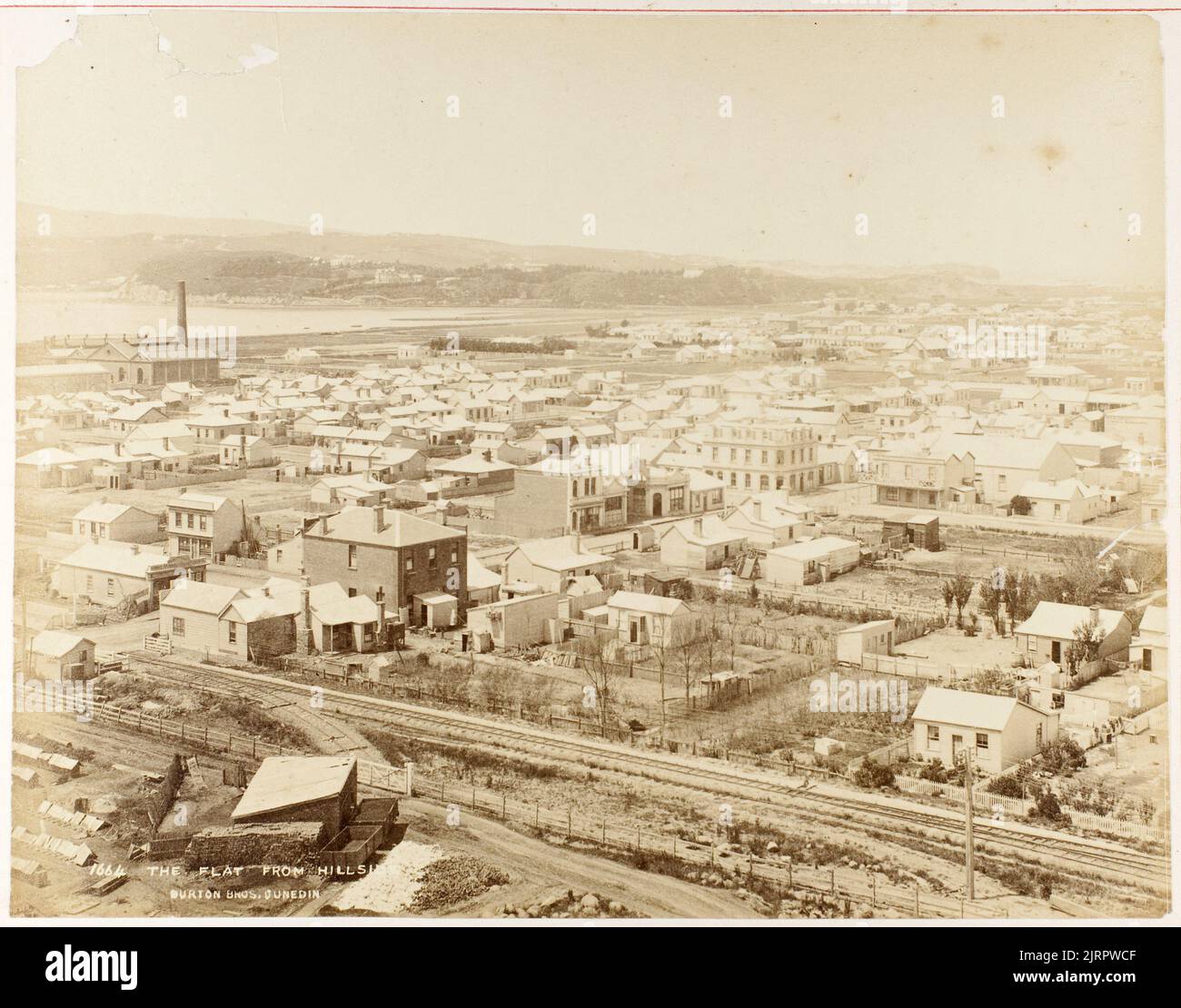 The Flat from Hillside, 1800s, Dunedin, by Burton Brothers Stock Photo