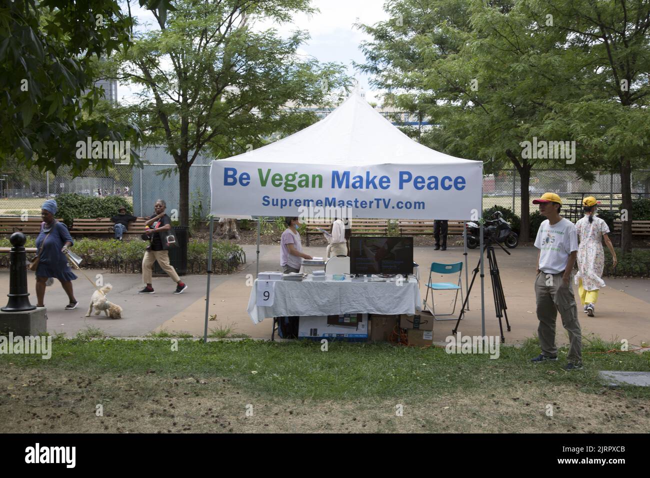 Black vegan food vendors, and African American organizations