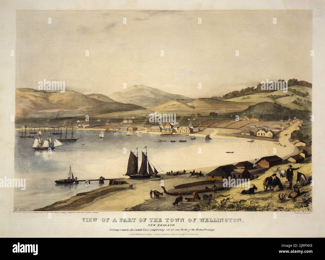 View of a part of the town of Wellington, New Zealand, 1841, England, by Major Charles Heaphy VC, Thomas Allom. Gift of Horace Fildes, 1937. Stock Photo