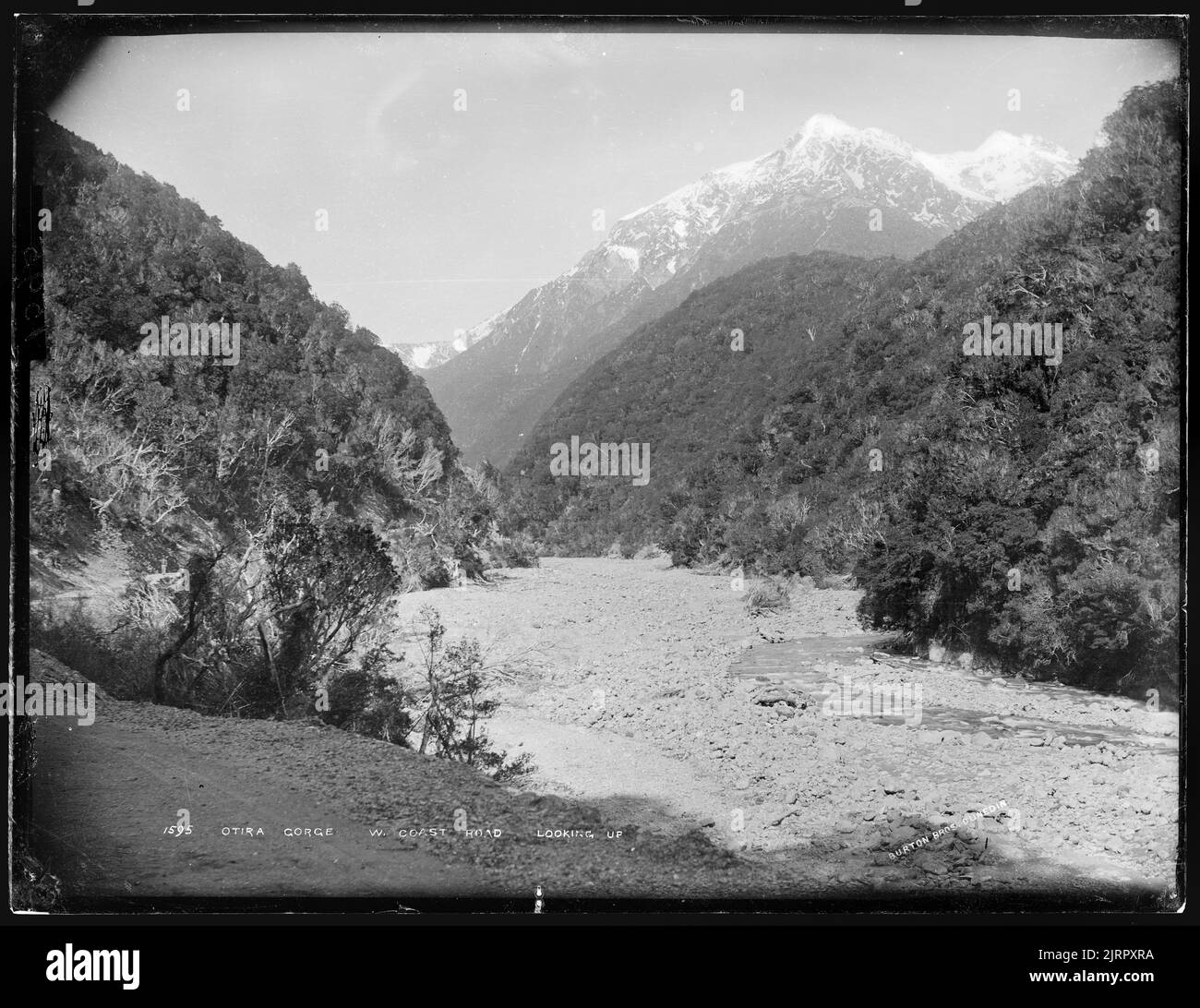 Otira West Coast Road, looking up, New Zealand, by Burton