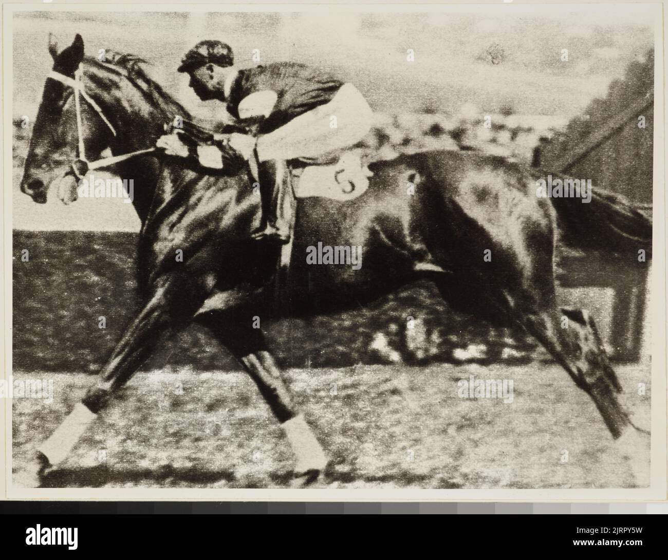 Phar Lap, galloping, 1920s, maker unknown. Stock Photo