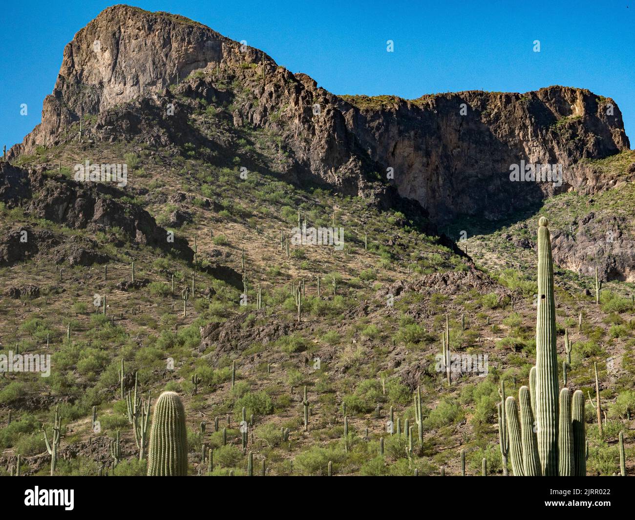 Picacho Peak is a distinctive landmark located halfway between Phoenix