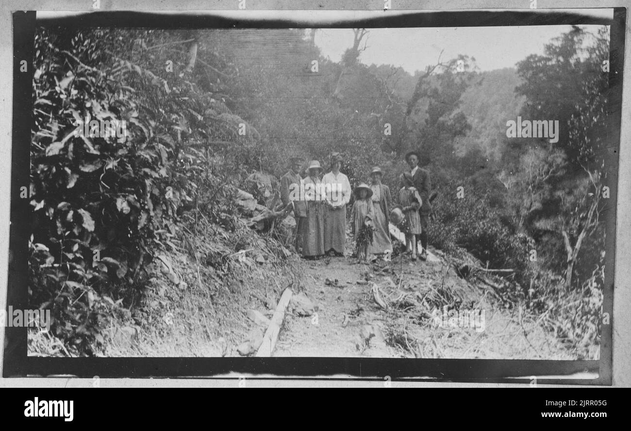 Upper hutt bush from the album hires stock photography and images Alamy