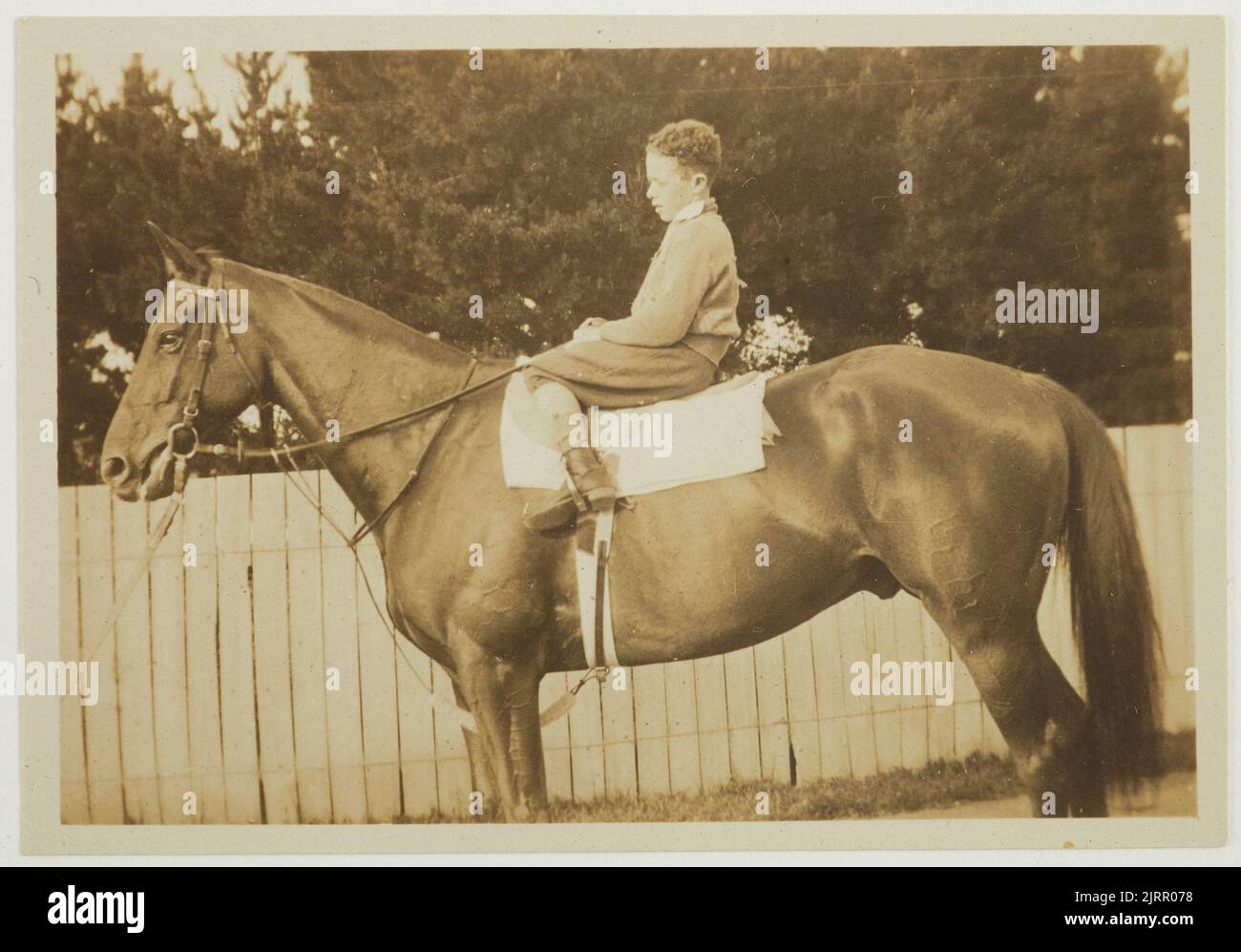 Phar Lap and rider, 1926-1928, Upper Hutt, by Dr Martin Tweed. Gift of Philippa Corkill, 1999. Stock Photo