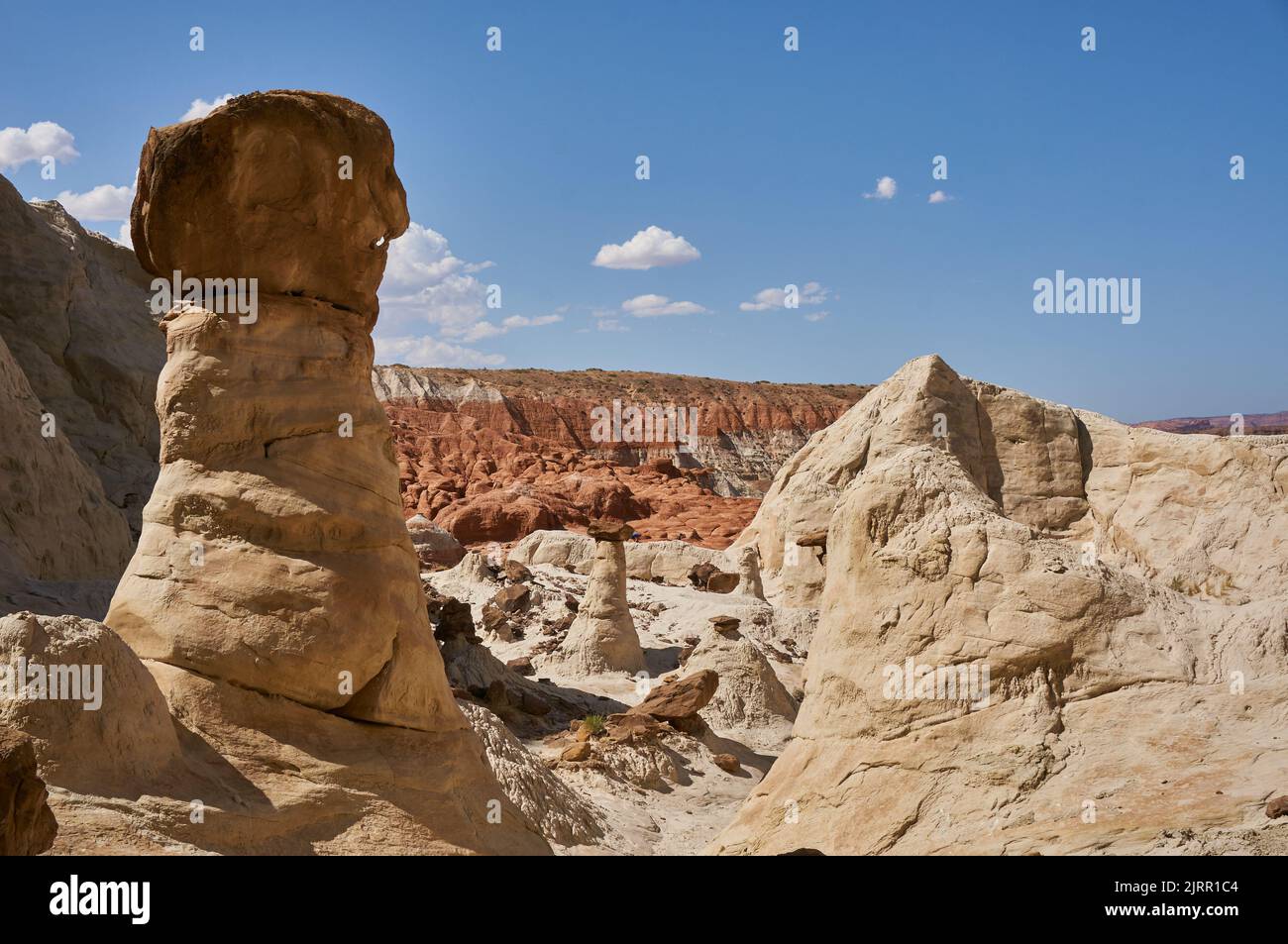 The geological formation of the sandstones in the desert on a sunny day