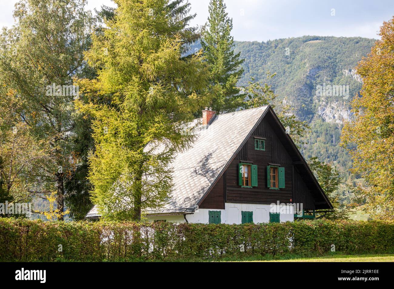 Picture of a glade of the mountains of the alps, in summer, with a slovenian chalet in the background, a typical house from the julian alps, in Stara Stock Photo