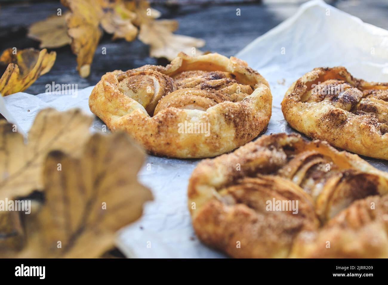 rustic traditional french biscuit cake with apples in autumn style. Stock Photo