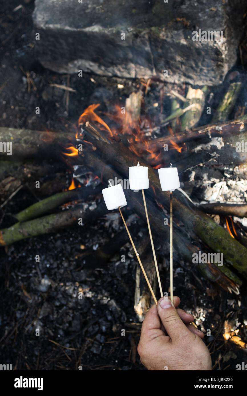 Marshmallow on a stick at the stake. Fried marshmallows. Picnic in the nature. Marshmallows on a background of fire Stock Photo