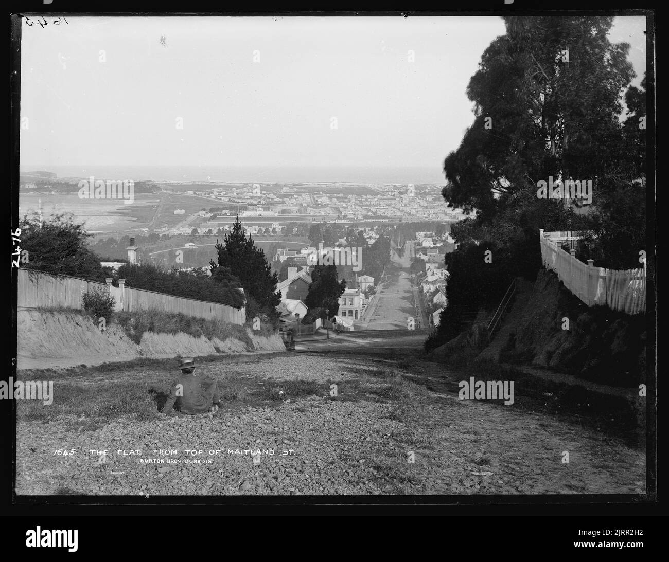 Maitland street hires stock photography and images Alamy