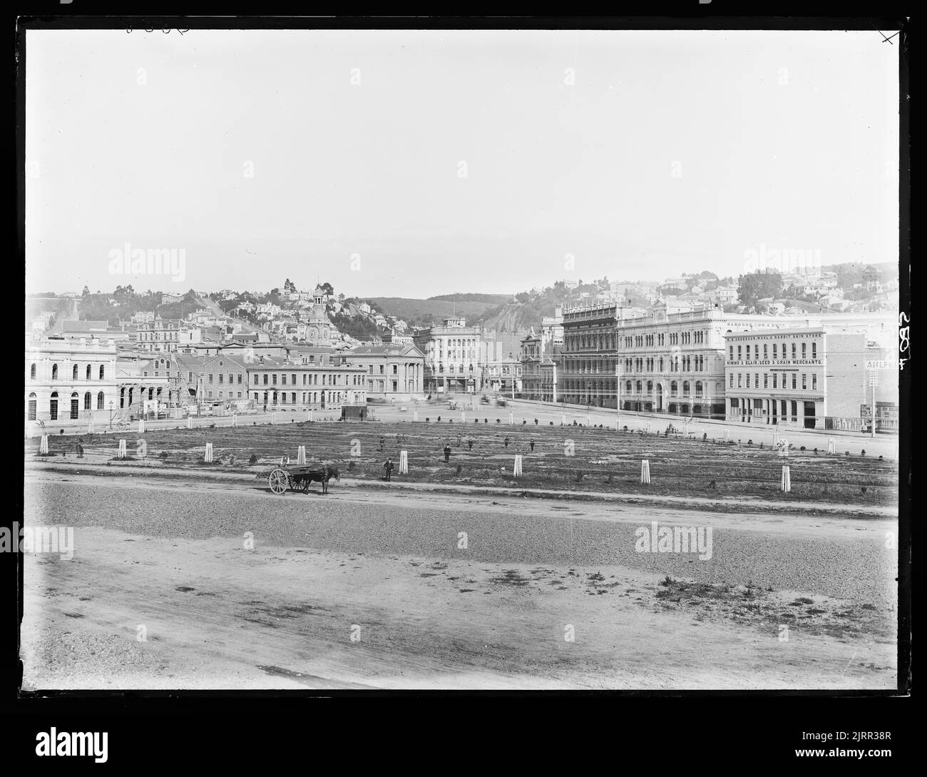 [Dunedin], Dunedin, by Burton Brothers Stock Photo Alamy