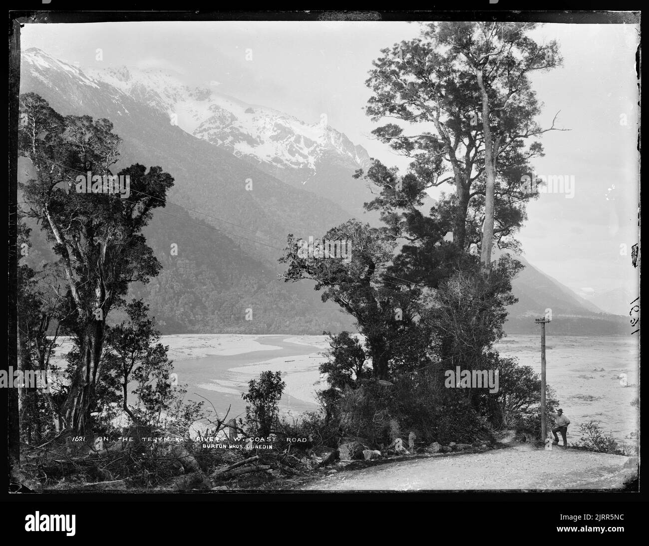 On the Teremakau River, West Coast Road, New Zealand, by Burton