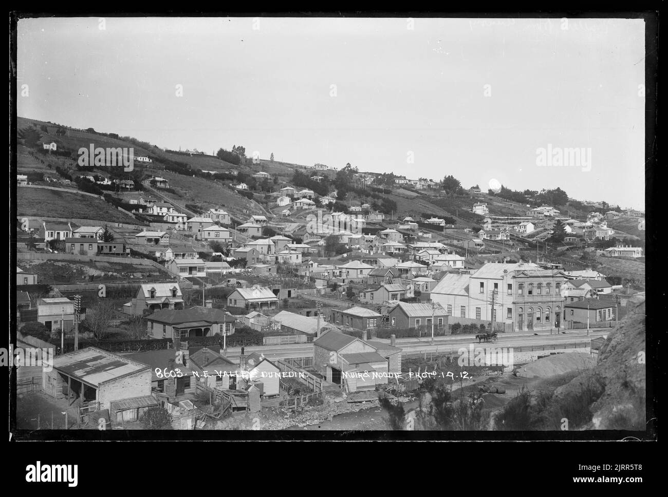 North East Valley, Dunedin Stock Photo Alamy