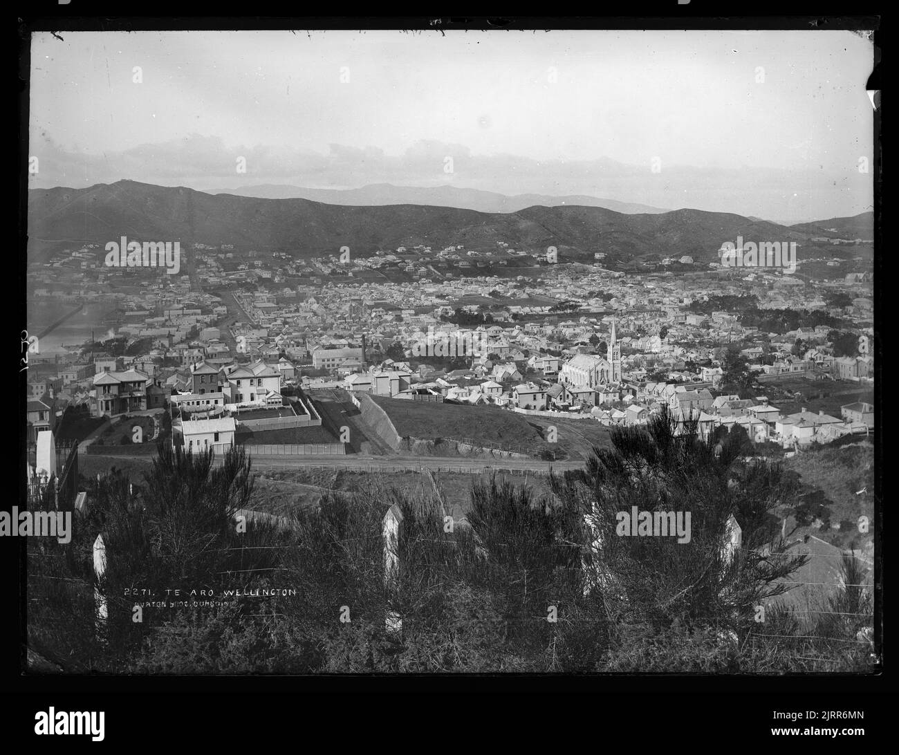 Te Aro, Wellington Stock Photo