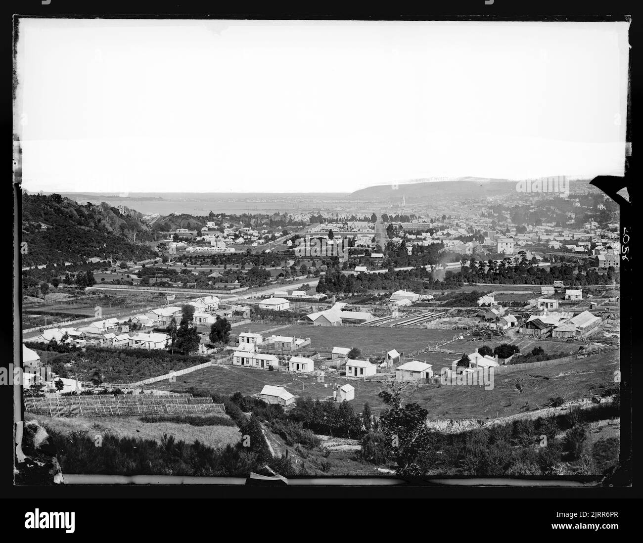 Dunedin north east valley hires stock photography and images Alamy
