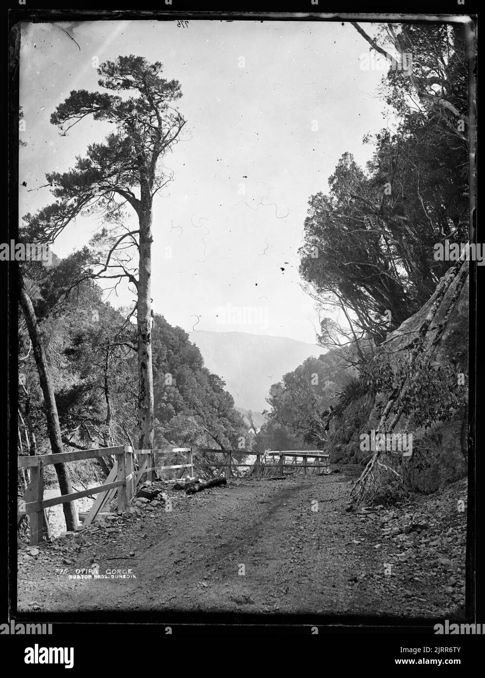 Otira Black and White Stock Photos & Images Alamy