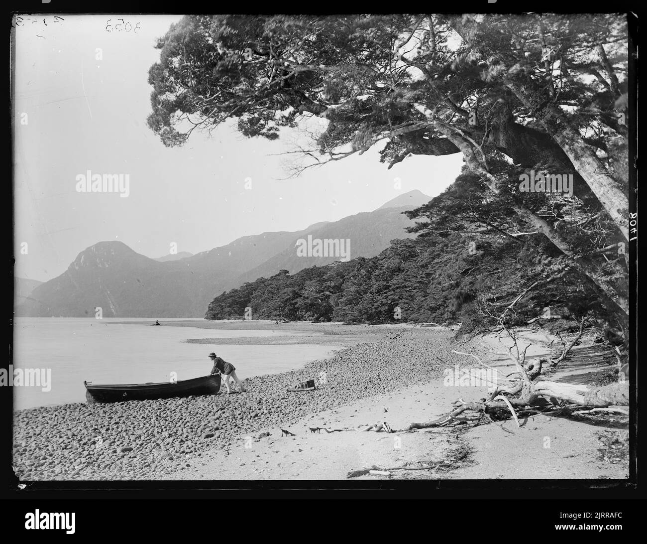 [Long Sound from Sandy Point, Preservation Inlet], 1885, Dunedin, by