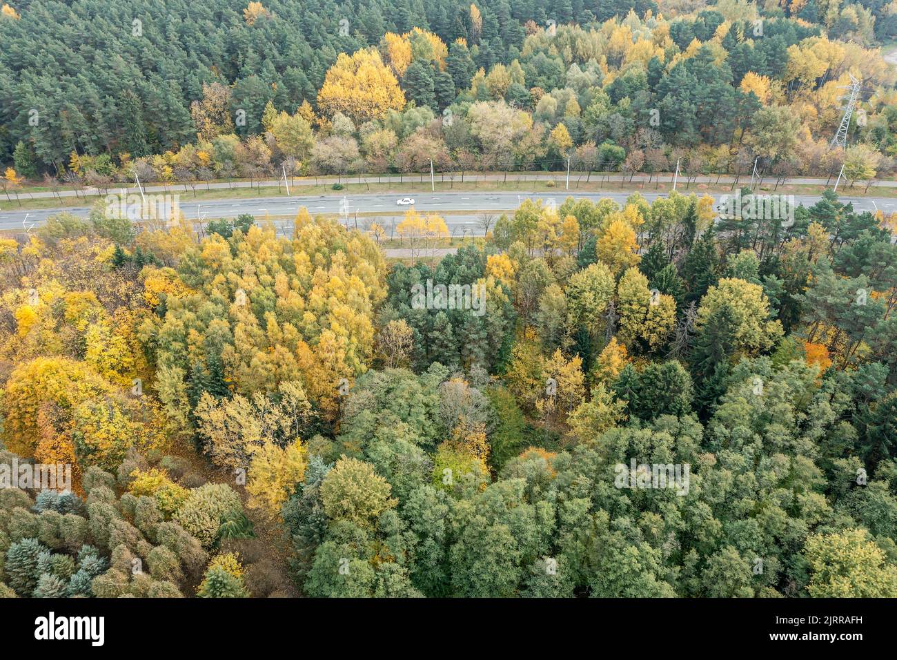 asphalt road with car passing through autumn forest. landscape aerial view. Stock Photo