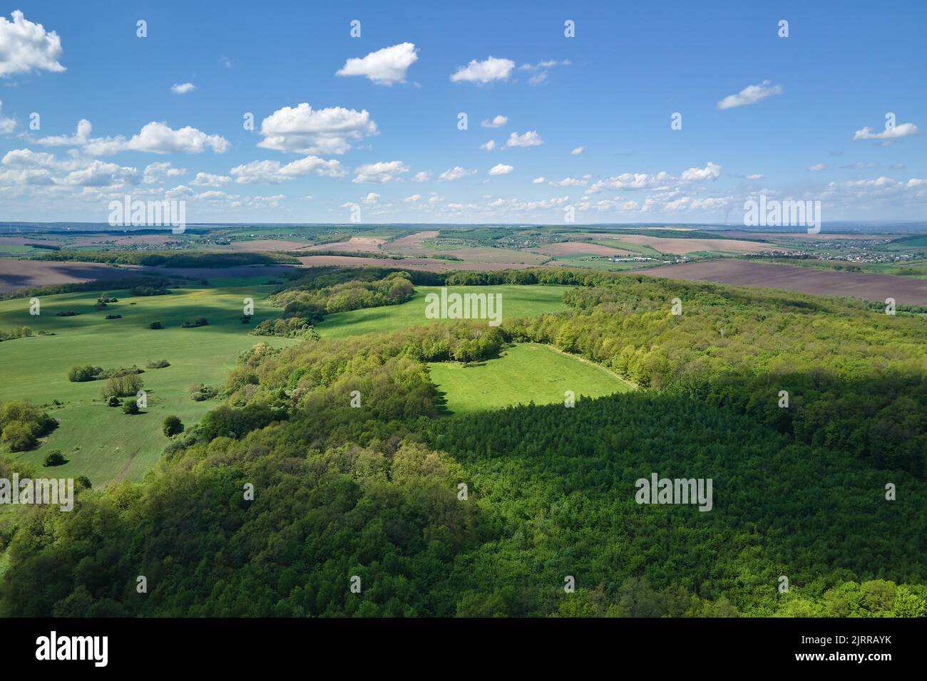 Aerial view of dark green lush forest with dense trees canopies in ...
