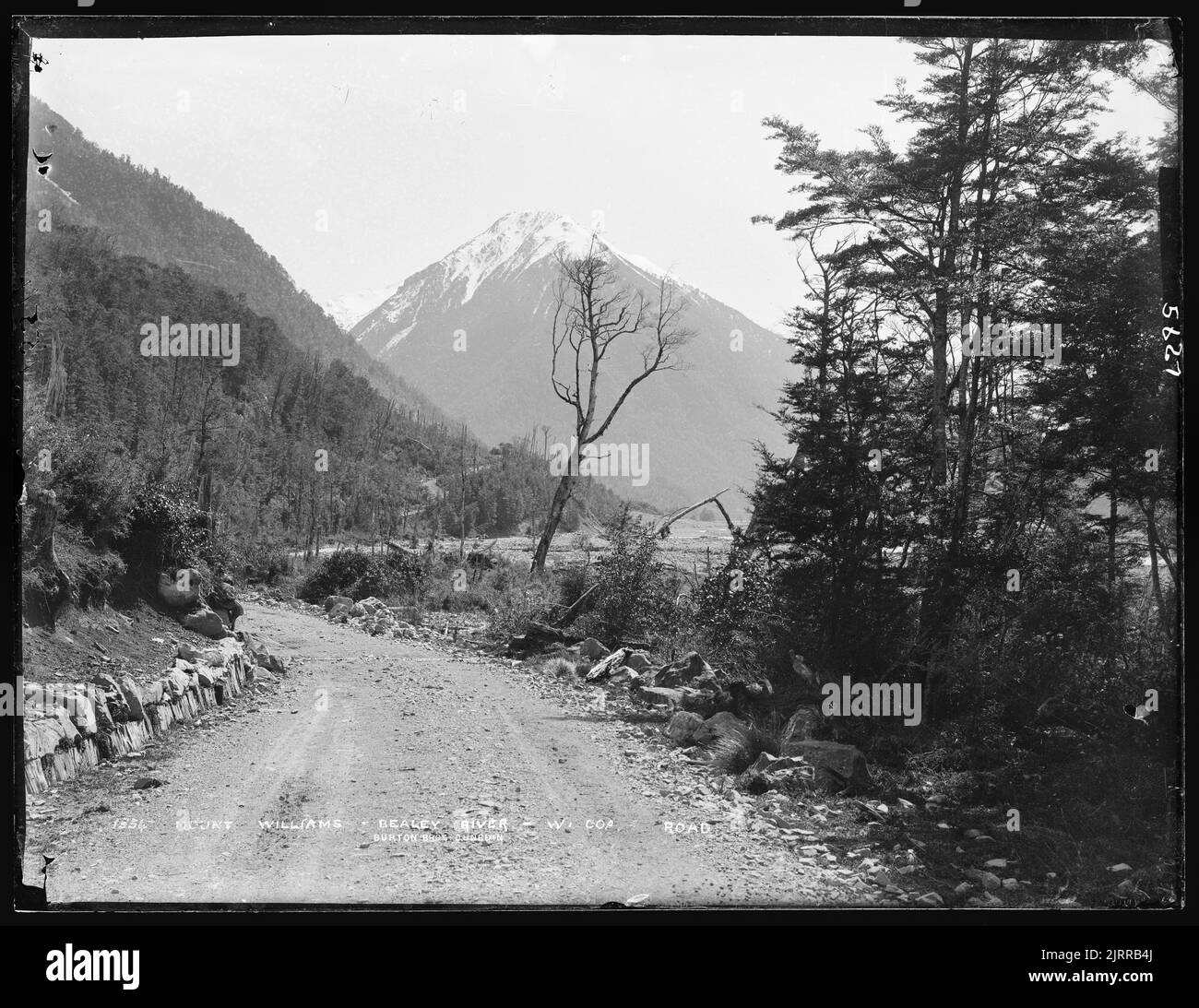 Otira Gorge, West Coast Road, New Zealand, by Burton Brothers. Stock Photo