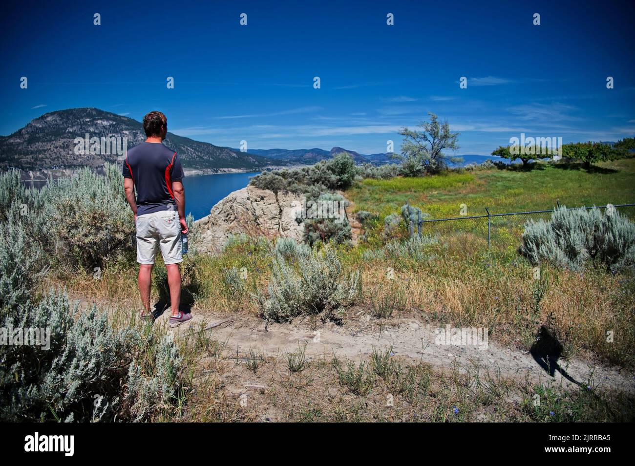Rear view of the mature man walking in nature Stock Photo