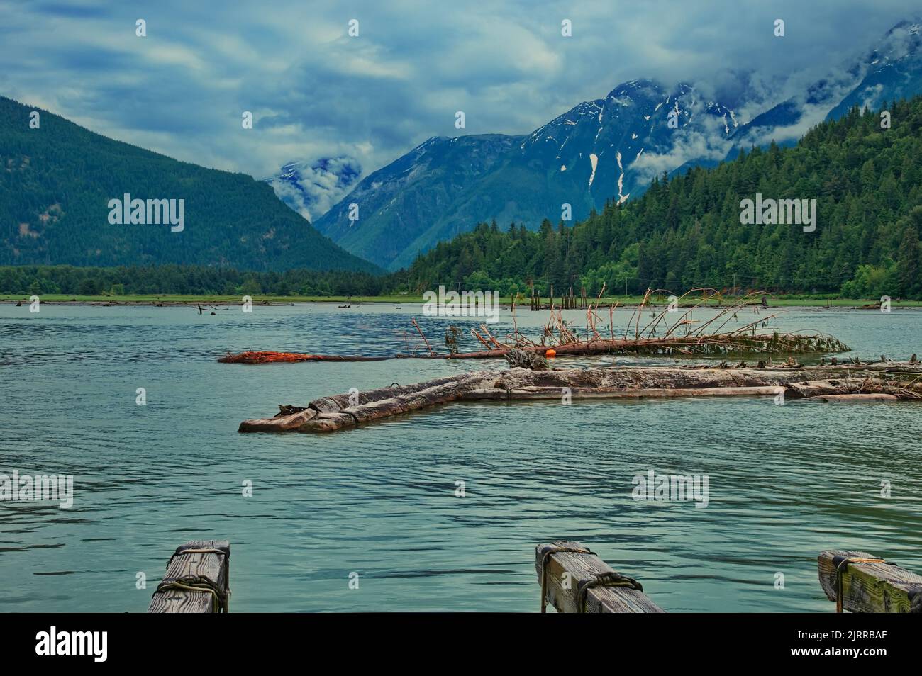 Deep bay with wooden piles in Canada, BC Stock Photo