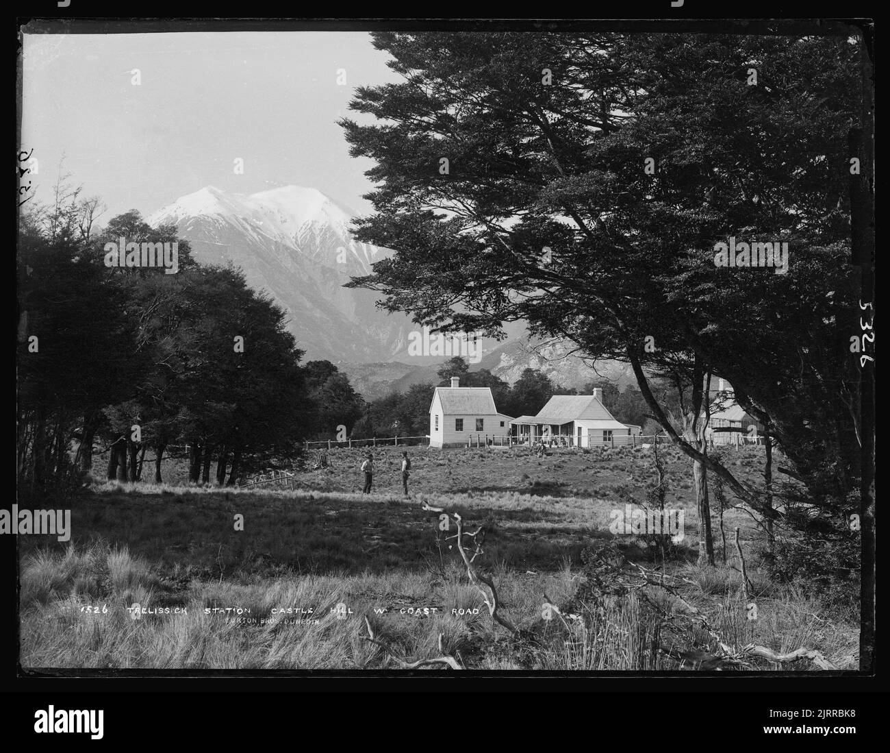 Trelissick Station, Castle Hill, West Coast Road, early 1880s, Dunedin