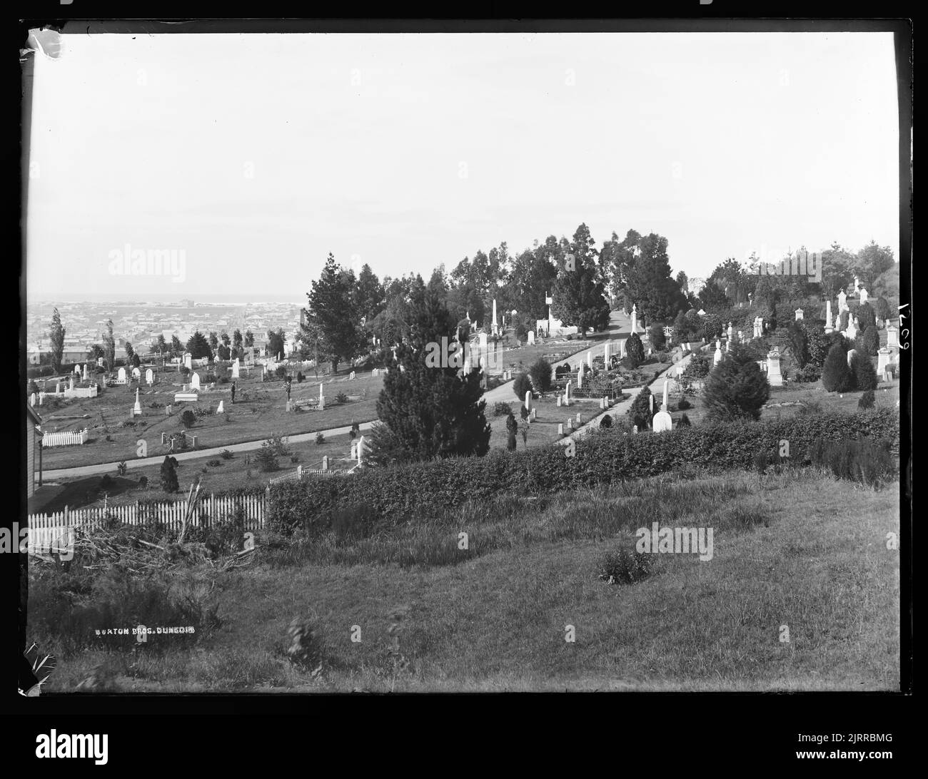 [Dunedin, southern cemetery] Stock Photo Alamy