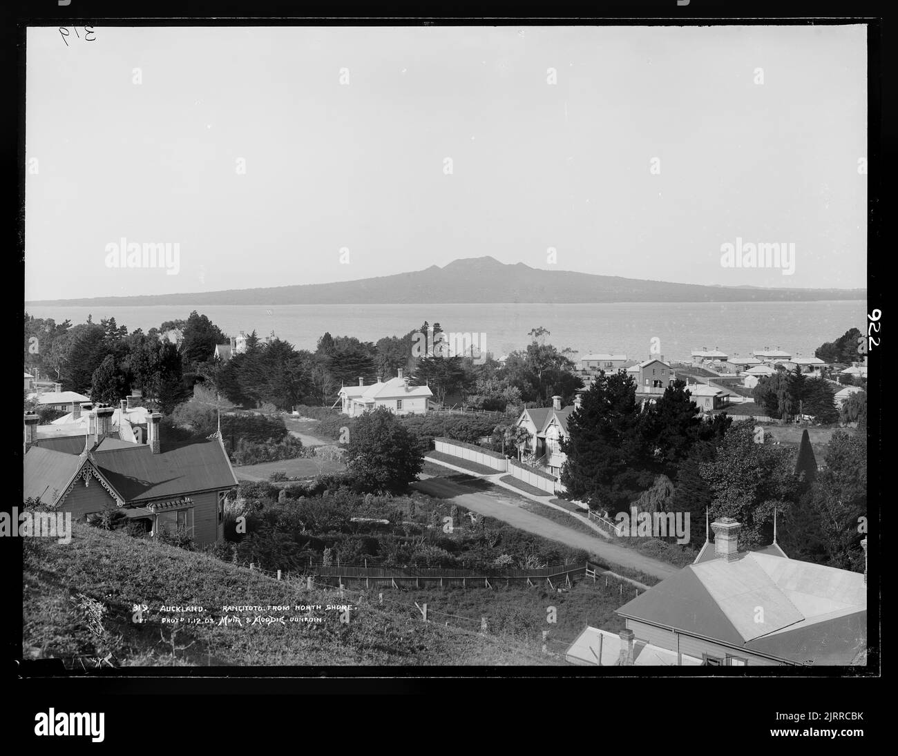 Auckland, Rangitoto from North Shore Stock Photo Alamy