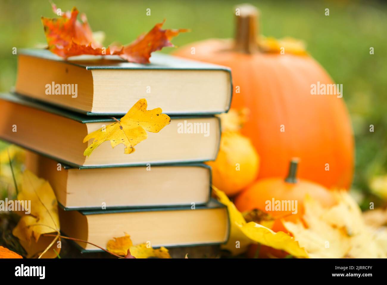 Back to school.Halloween Books.Study and education concept. stack of books,maple leaves and pumpkins in autumn garden.Autumn reading.Start school and Stock Photo