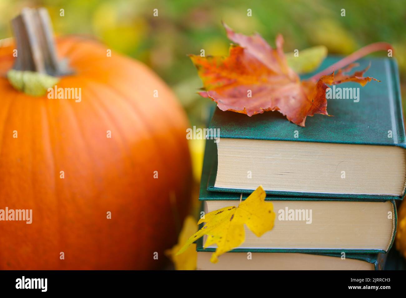 autum Books.Halloween Books.Study and education concept. stack of books,maple leaves and pumpkins in autumn garden.Autumn reading.Start school and Stock Photo