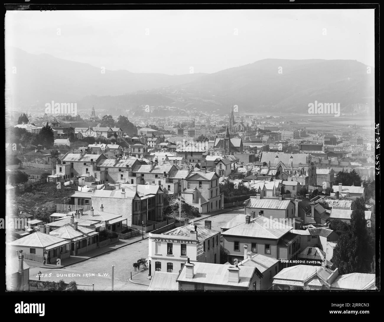 Dunedin, from south west, New Zealand, by Burton Brothers. Stock Photo