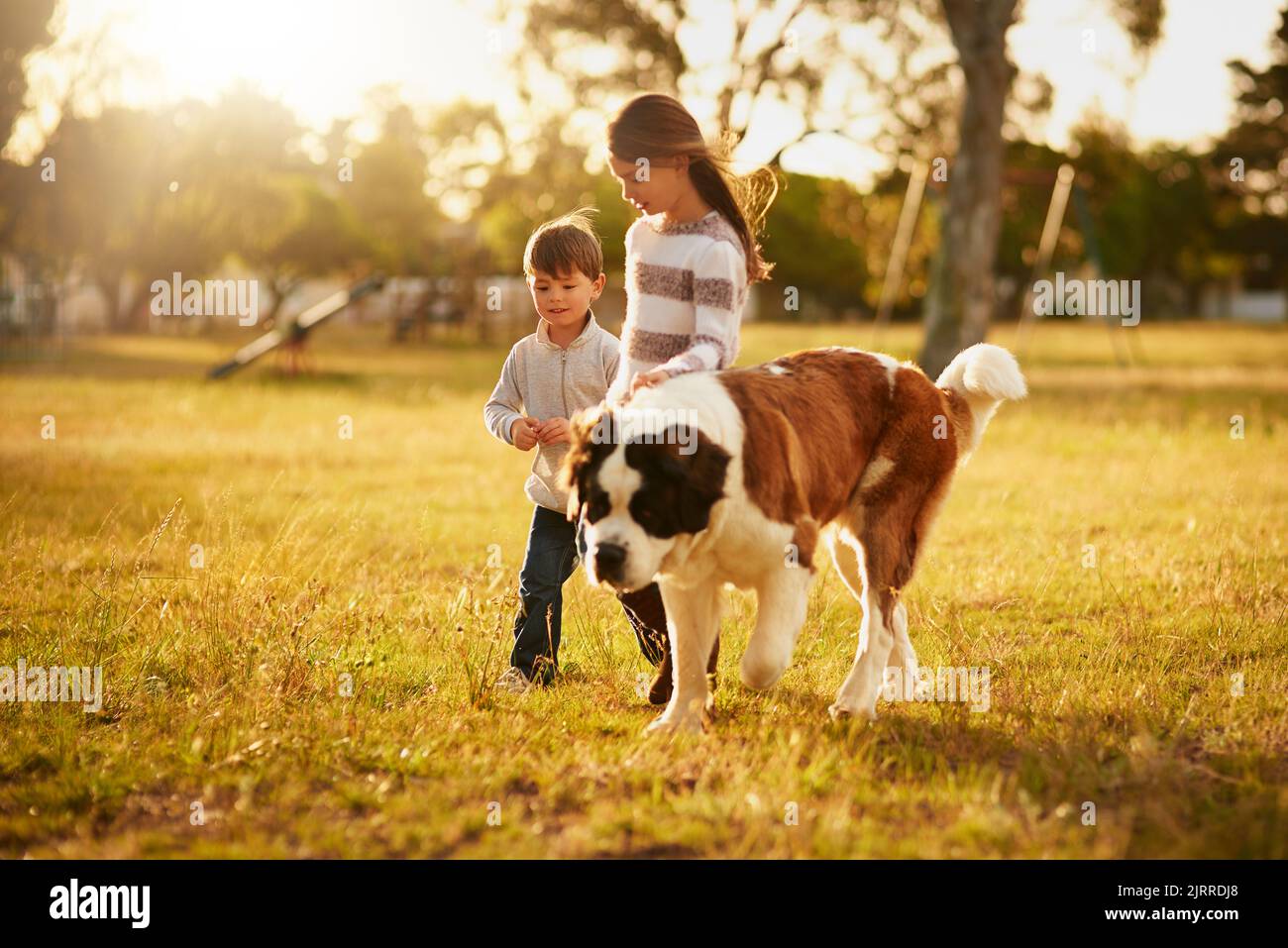Looking for adventure together. two cute little siblings walking through a park with their dog. Stock Photo