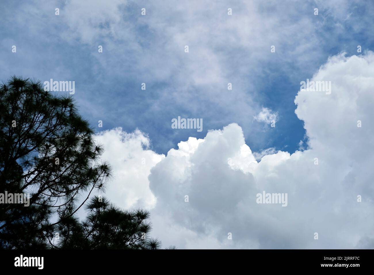 White puffy cumulus clouds on summer blue sky Stock Photo - Alamy