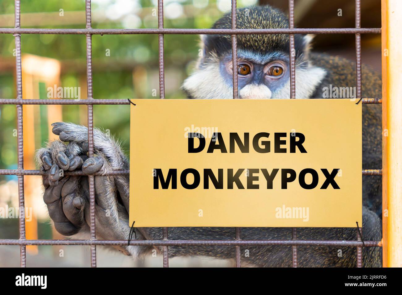 Monkeypox virus, dangerous disease spreads in world. Concept of smallpox, biological weapons, warning and monkeypox. danger of monkeypox inscription o Stock Photo