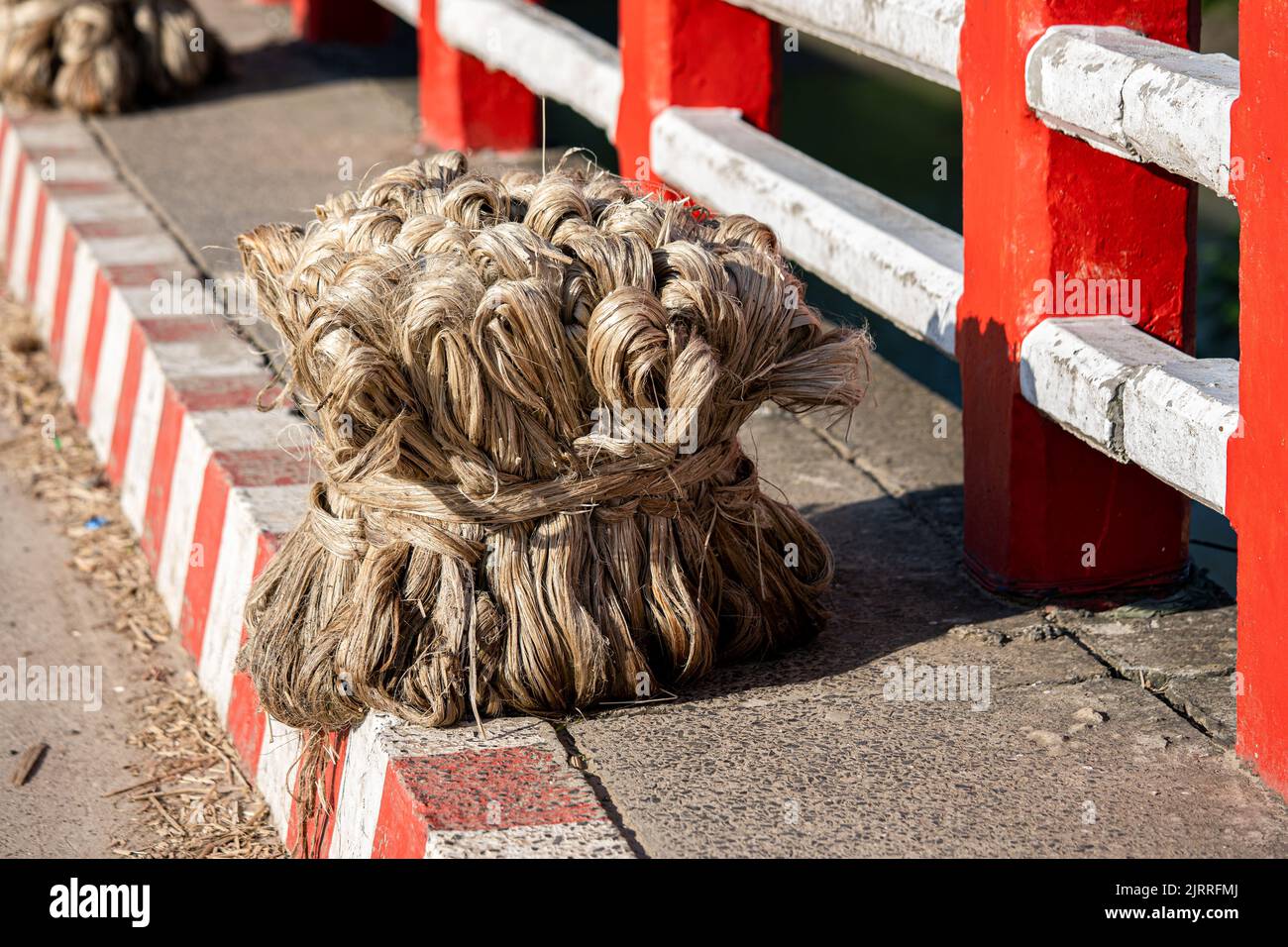 Jute vegetable fiber, Raw jute fiber hanging Stock Photo