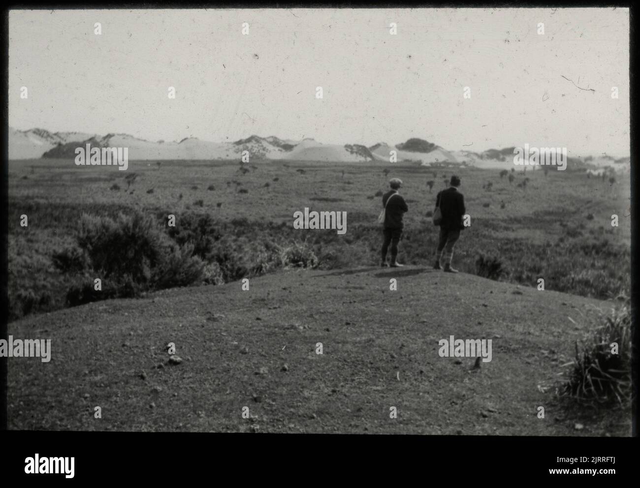 Sand fall encroaching on totara flat hi-res stock photography and ...