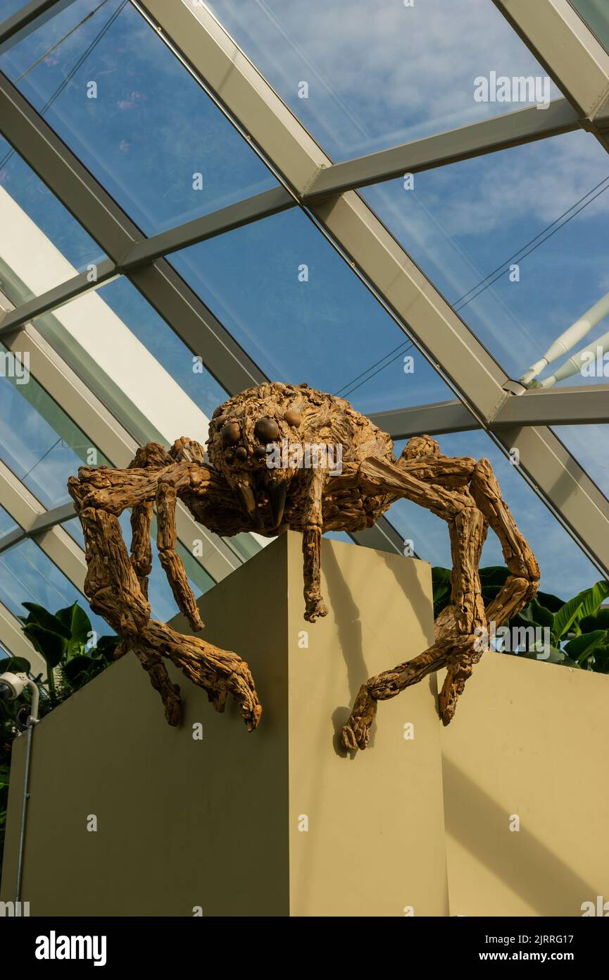 Scary Alien Spider in the Cloud Forest at the Gardens by the Bay, Singapore Stock Photo