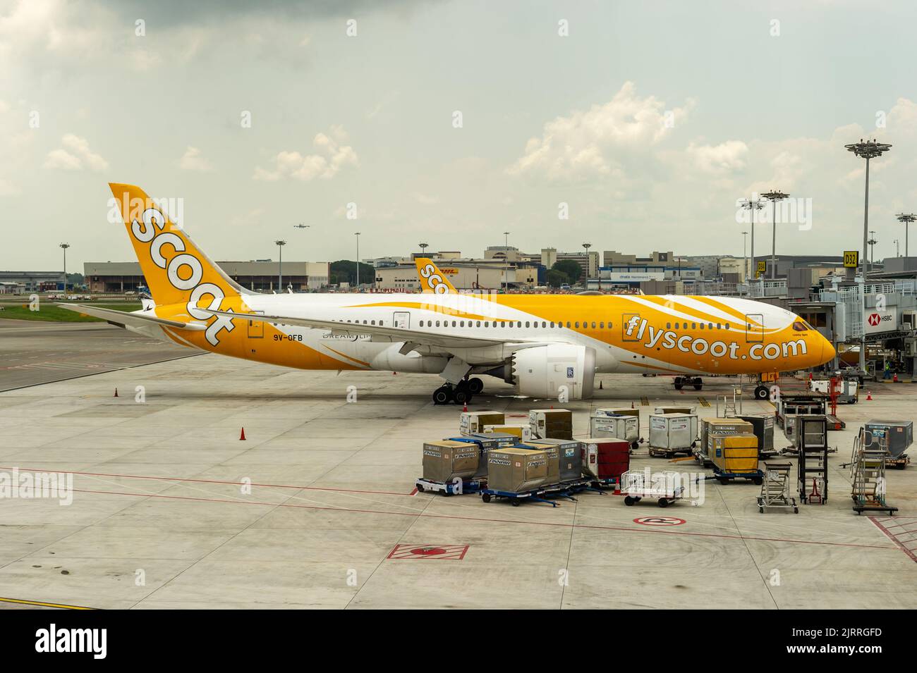 scoot-boeing-787-dreamliner-parked-at-terminal-1-singapore-changi-airport-2JRRGFD.jpg
