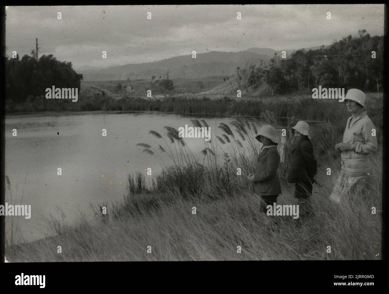 SE end of Lake Papaitonga showing sandstone upland in background and Tararua Range in distance, 01 April 1929, North Island, by Leslie Adkin. Gift of Adkin Family, 1997. Stock Photo