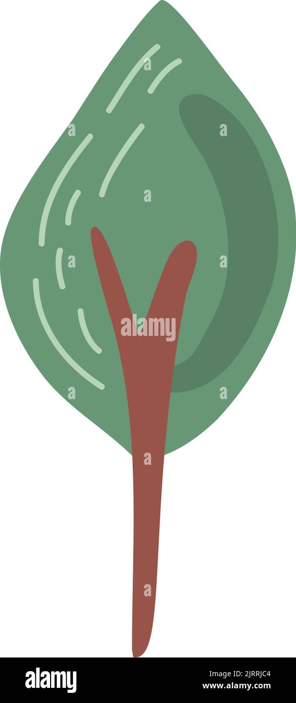 pine tree plant forest nature icon Stock Vector Image & Art - Alamy
